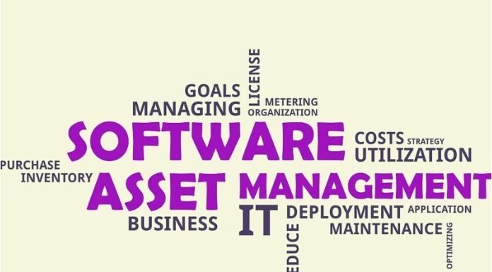 Strategic Software Asset Management