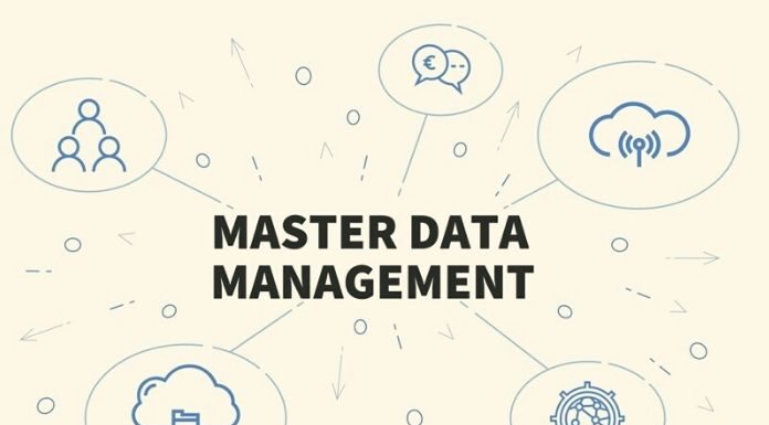 Master Data Management Organize Complex Data Intelligently