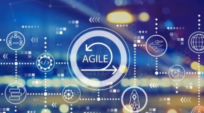 Business Agility: Know The Six Basic Principles