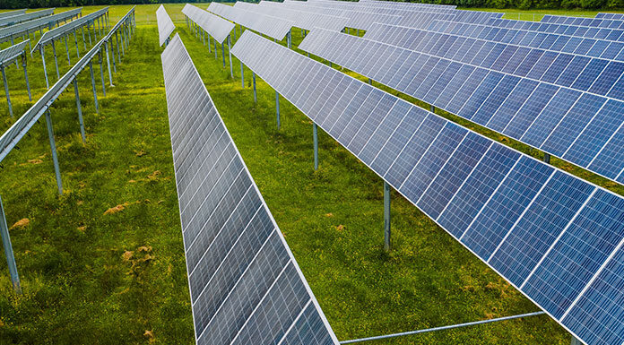 How Solar Businesses Affect The Long-Term Health Of Agriculture