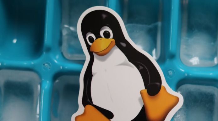 LINUX OR WINDOWS