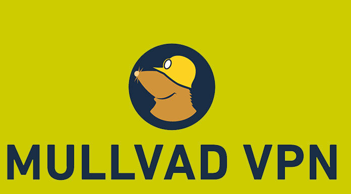 Mullvad VPN Now Has A Built-In Search Engine